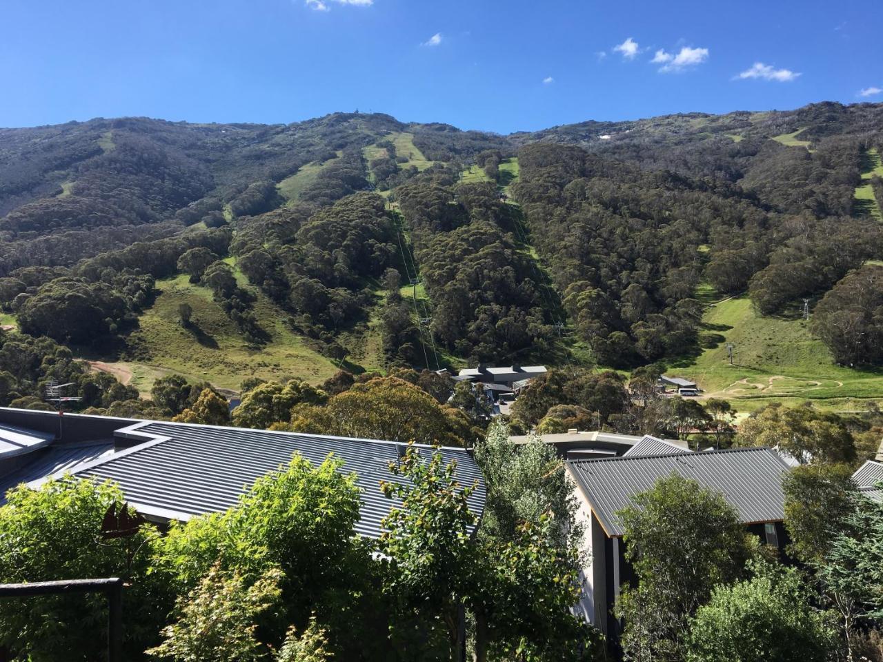 卡塞斯公寓山林小屋 斯瑞德伯 外观 照片