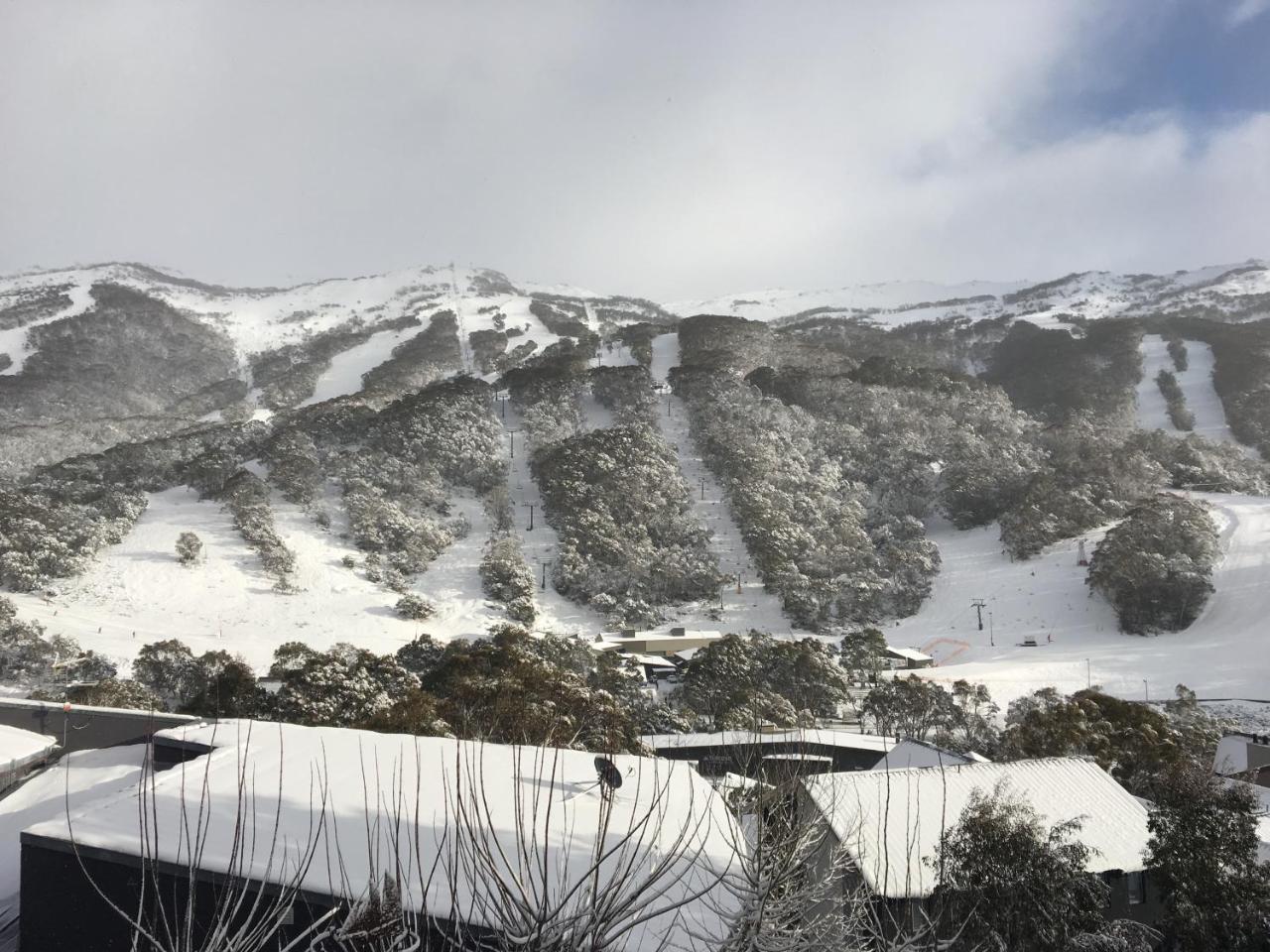 卡塞斯公寓山林小屋 斯瑞德伯 外观 照片